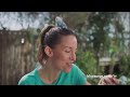 IFC Commercials November 11 2022