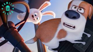 Max and His Friends Race to Save Duke From a Crazy-Eyed Rabbit | The Secret Life of Pets