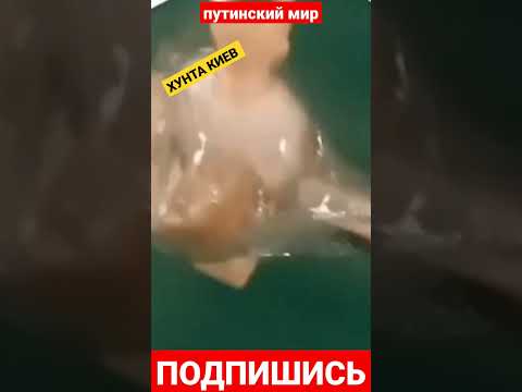 "Сотрудники СБУ играют футбол "мощами""Скабеева пробивает очередное дно своими гнусными выдумками.