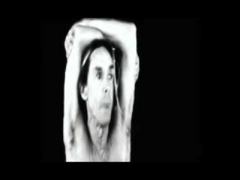 The BPA - He's Frank (Washing Up) feat. Iggy Pop