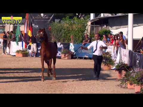 Menton 2013 - Highlights