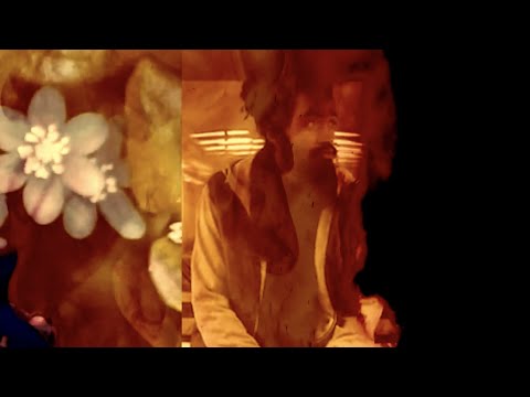 Teknical Development - Memories & Flowers feat. Tesla Alset ► prod. by Figub Brazlevič