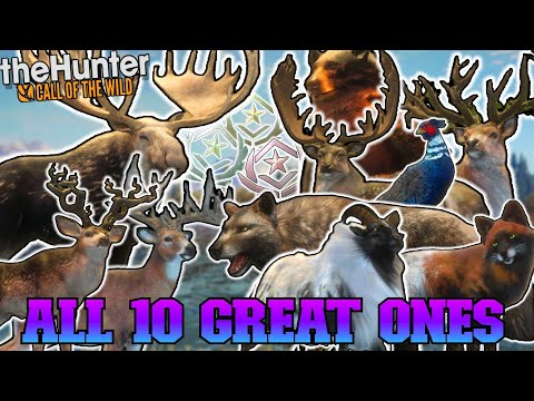 Hunting All 10 GREAT ONES In 1 Video! (Stats Included) - The Hunter Call of the Wild