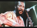 Richie Havens CHAIN GANG