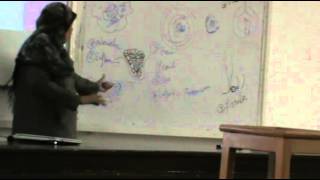 Dr.Sahar - inflammation 3 - acute inflammation- part 2