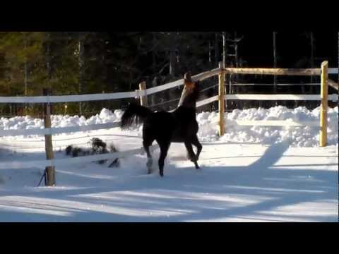 Boundless by Belissimo M Dec 2012