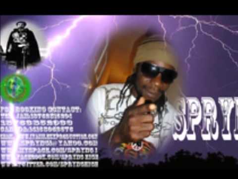 TRY MI TRY./  SPRYNG I