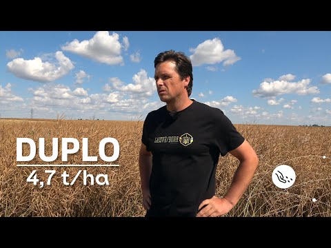 Pakalbėkime apie veisles | Ž. rapsai DUPLO | Alytaus rajonas