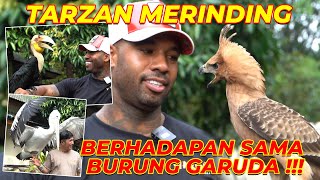Download lagu #13 MOMEN TARZAN AMERIKA GEMETERAN LIAT BURUNG GARUDA !!!! mp3
