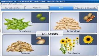 CBSE Class 9 Science -15 || Improvement in Food Resources || Full Chapter || by Shiksha House