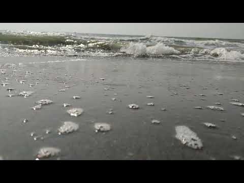 Beach video