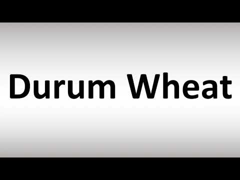 How to Pronounce Durum Wheat