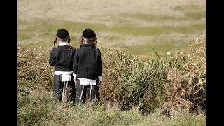 ת'הא ש'נת פ'ריה ו'רביה - מצות פרו ורבו ברוחניות▪️ הרב נחמנסון ▪️ (יד חרוצים) (הרב יהודה לייב נחמנסון) - התמונה מוצגת ישירות מתוך אתר האינטרנט יוטיוב. זכויות היוצרים בתמונה שייכות ליוצרה. קישור קרדיט למקור התוכן נמצא בתוך דף הסרטון ת'הא ש'נת פ'ריה ו'רביה - מצות פרו ורבו ברוחניות▪️ הרב נחמנסון ▪️ (יד חרוצים) (הרב יהודה לייב נחמנסון) - התמונה מוצגת ישירות מתוך אתר האינטרנט יוטיוב. זכויות היוצרים בתמונה שייכות ליוצרה. קישור קרדיט למקור התוכן נמצא בתוך דף הסרטון