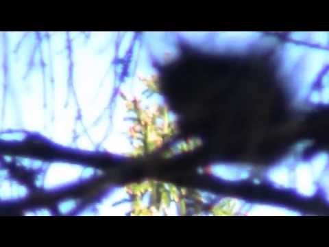 Pyöräily/lenkki osa2