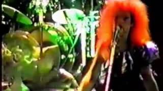 We've Got A Fuzzbox and We're Gonna Use It  - Jackie