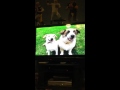 Closing To The Mysterious Numbers Nursery 2004 VHS