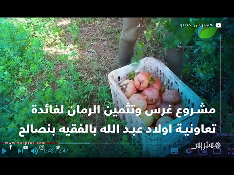 مشروع غرس وتثمين الرمان لفائدة تعاونية اولاد عبد الله بالفقيه بنصالح