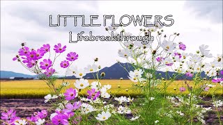 Little Flowers - Christian Inspirational Song by Lifebreakthrough