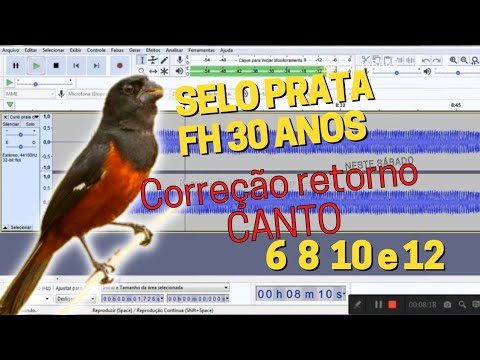 selo prata fh 30 anos capadocia | correcao de RETORNO DE CANTO curio 6 8 10 e 12