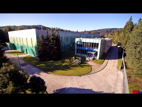 Náhled pro video reference