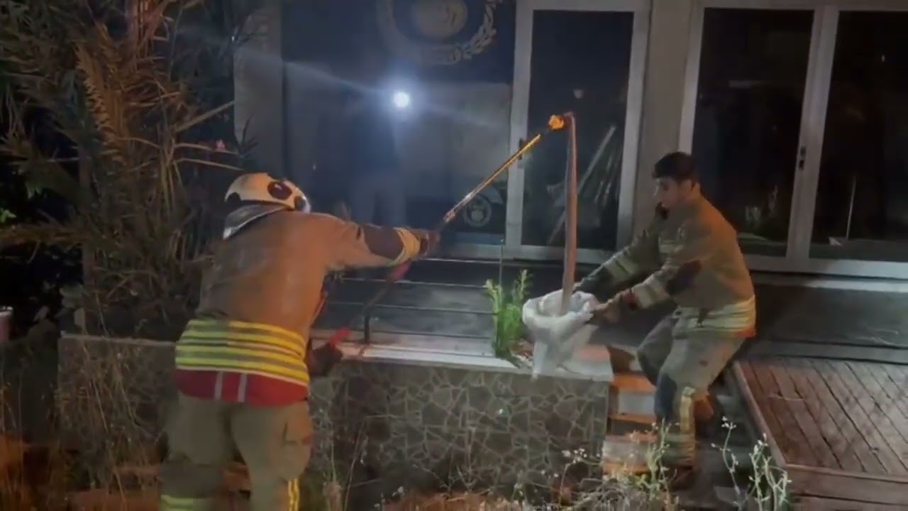 Mahallede Yılan Paniği