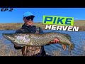 Video Thumbnail for Spring Pike Heaven! Fishing Buffalo Pound River 2023 (Episode 2)