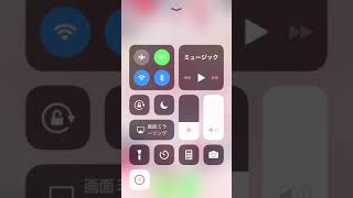 ポケコロ実況#5