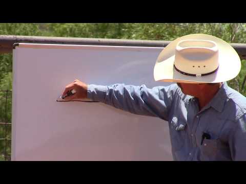 YouTube video about: How to slow down a horse's canter?