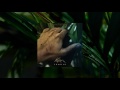 Kora - Fragile (Original Mix) [Official Video]