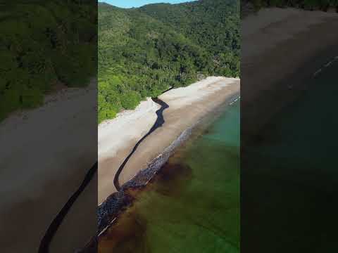 Lopes Mendes - Ilha Grande Rj