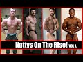 NATTY NEWS DAILY #26 | Nattys On The Rise Vol. 1 | Josh Kenyon, Steve Hall, and more!