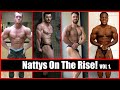 NATTY NEWS DAILY #26 | Nattys On The Rise Vol. 1 | Josh Kenyon, Steve Hall, and more!