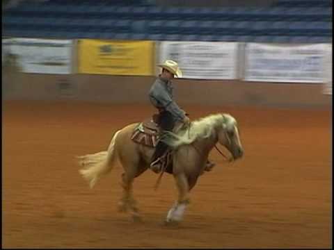 Nothing But a Good Ride - Nicolas Howard