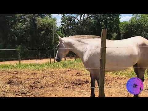Caminhada em Queluzito / MG