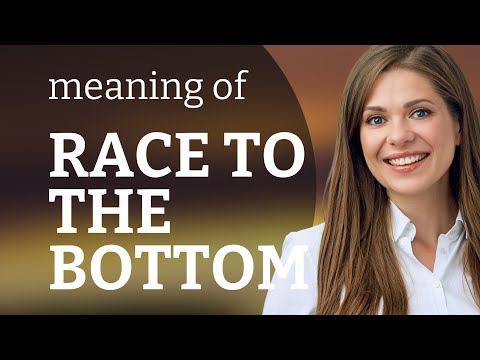 Understanding the "Race to the Bottom"