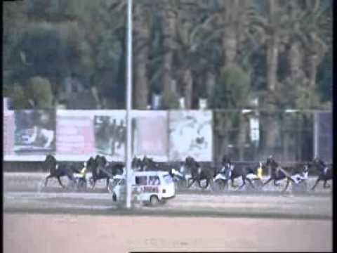 www kennethvella.com  Meeting (28) Date 7-6-2015 Race 1,2,3,4,5,6,7,8,9,10.