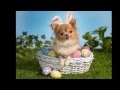 'Here Comes Peter Cottontail' - By Gene Autry ...