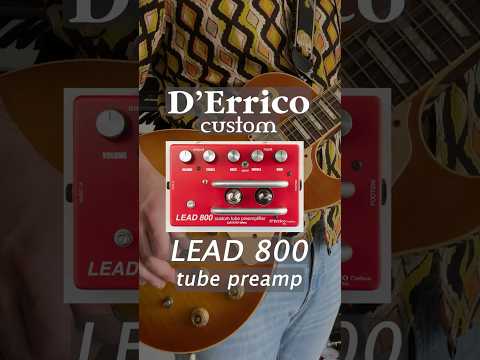 D'ERRICO CUSTOM LEAD 800 JCM 800 Marshall JCM800 tube preamp Bild 5