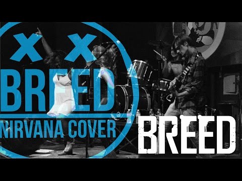 Nirvana - Breed feat.Fabião (Breed Cover)