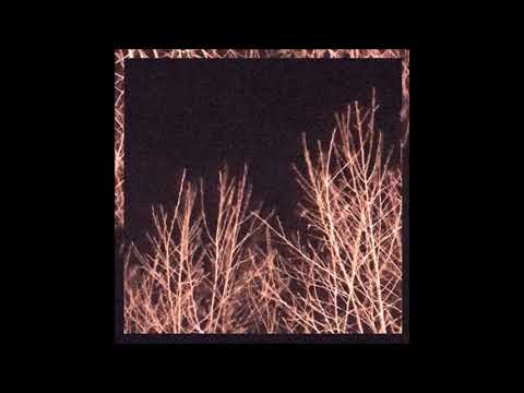 22. biocide - reveal the dark side (ft. Skaleaton) [04.03.2019]