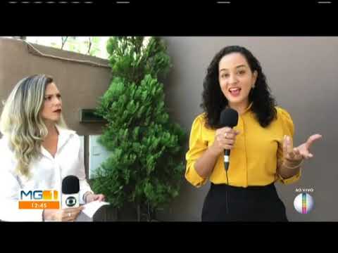 MG Inter TV 1ª Edição   Vales MG  Cartórios registram aumento na procura por testamentos e doações e