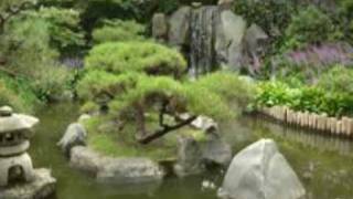 Chanhassen Arboretum