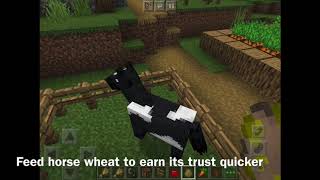 How To Tame and Ride A Horse In Minecraft On Mobile