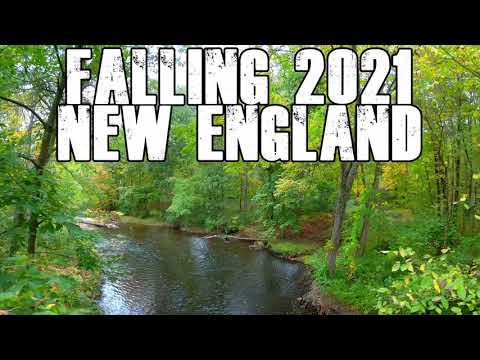Falling (Cinematic FPV) New England Foliage Report W/E 10/09/2021