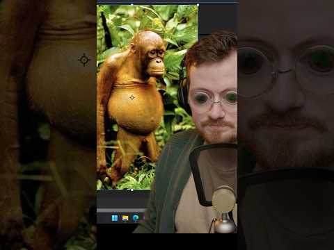 We got the same build