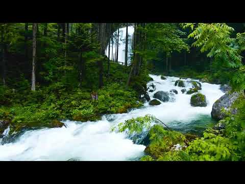 58  Surja El Muxhadele   Biseda Kuran Shqip