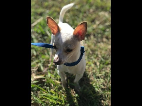 funeral service and memorial for love one DJ - GG