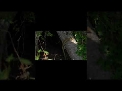 Lago del Ventasso o Calamone, Parma
