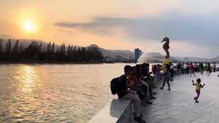 សេះសមុទ្រ