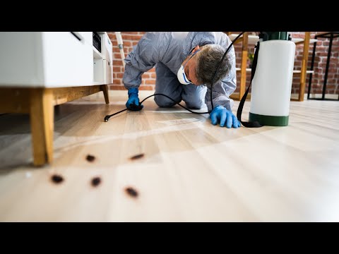 Zobacz filmy, Eco-Tech Przemysław Szubert, Bełchatów